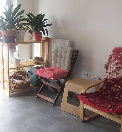 Studio Purpan Daire Toulouse Dış mekan fotoğraf