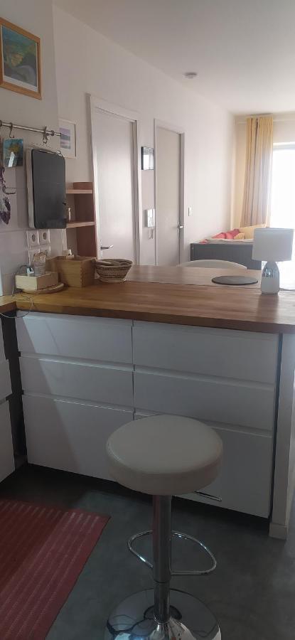 Studio Purpan Daire Toulouse Dış mekan fotoğraf
